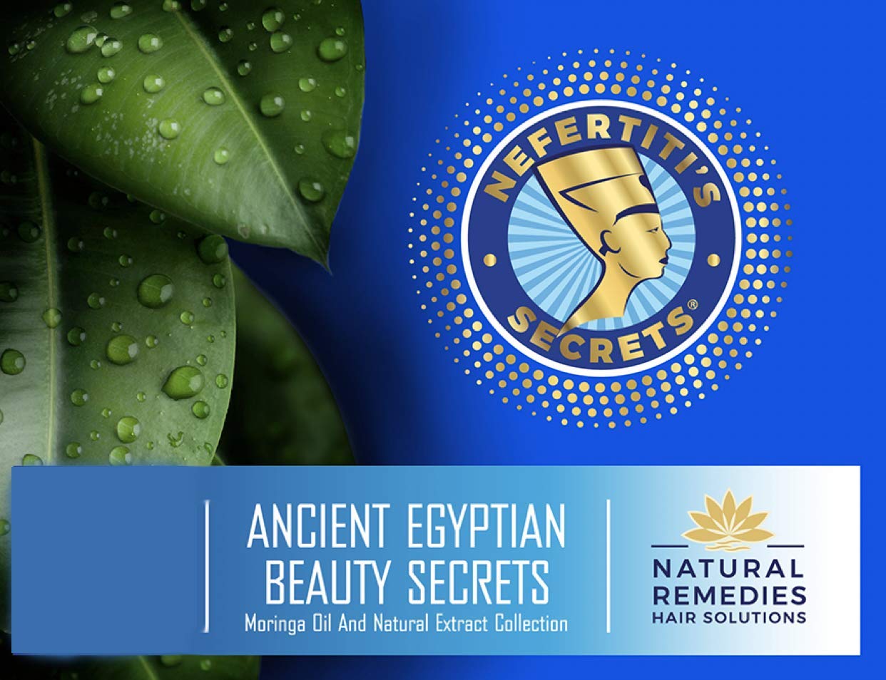 Nefertiti's Secrets Moringa Oil 1.7 oz